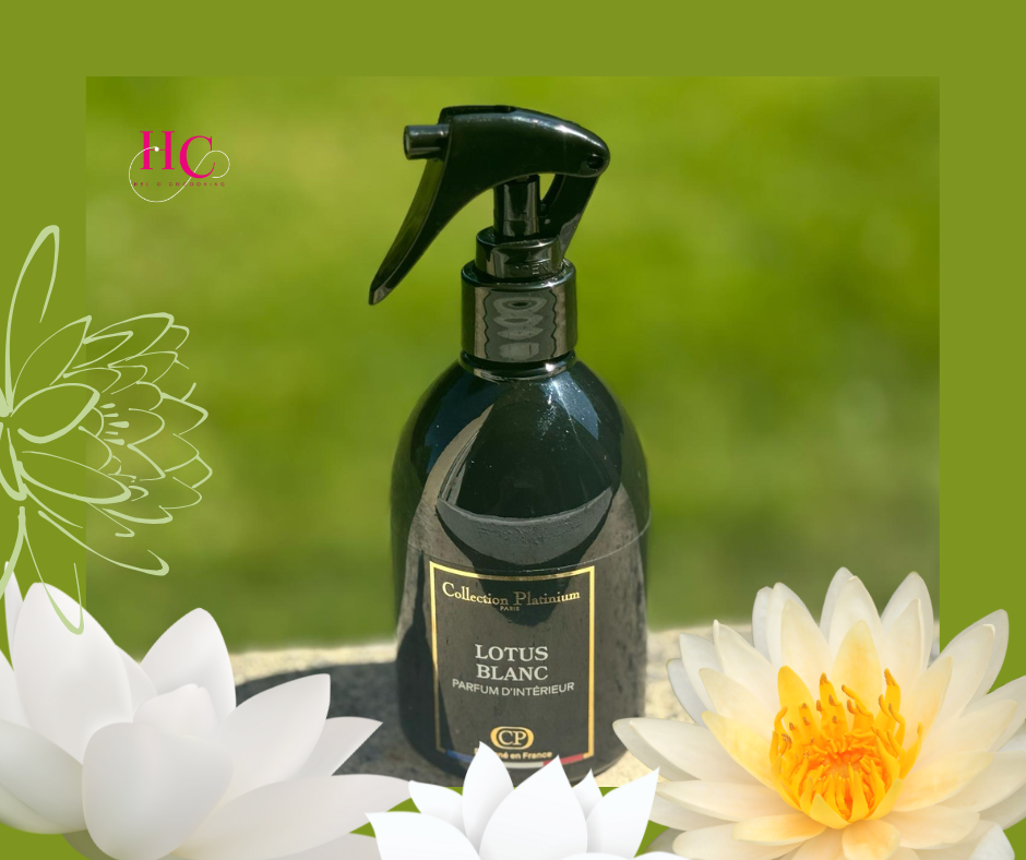 Lotus blanc