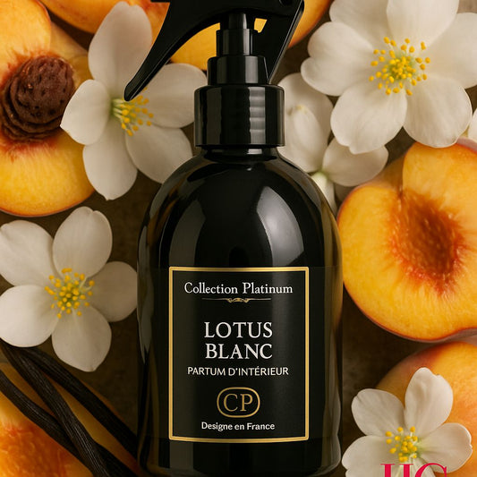 Lotus blanc
